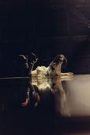 celebrity charli_xcx tagme woman