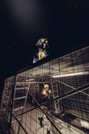 celebrity charli_xcx man tagme troye_sivan woman